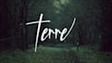 create an elegant signature logo and animation