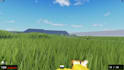 script things for you on roblox, as a professional scripter