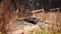 do 3d cinematic environment design scenes blender unreal ue5