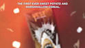 create motion graphics food product promo videos