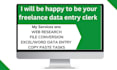 do fast data entry and admin support work