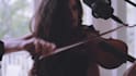 be your country, folk, rock fiddle violin player