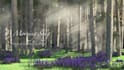 compose music for relaxation