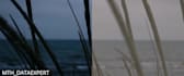 do professional video color correction and grading