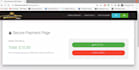 make dot net application and website for you
