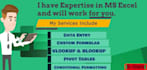 assist you with excel formulas,macros, charts and data entry