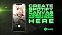 create unique professional spotify canvas video loop