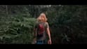 do transform your raw footage into masterpiece video