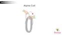 do knot or hitch animation