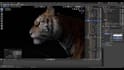 do 3d animal model, 3d animation texturing, 3d rigging in blender