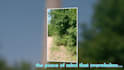 tourism, travel, hotels, vacation