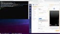 automate your business, python script, data scraping, bot