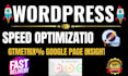 do any wordpress speed optimization, speed up website