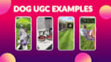 create ugc dog content for your brand
