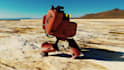 make stylized 3d characters for you
