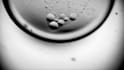 create professional microscopy videos in HD or 4k
