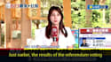 translate mandarin transcripts or subtitles into english with proofreading