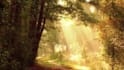 create meditation music video HD or 4k
