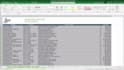 clean and organize, anything you need for your databases in microsoft excel