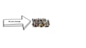 create an amazing video scribe or white board animation
