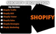 do viral shopify sales marketing, shopify traffic, shopify promotion