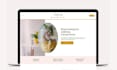 build squarespace website, design, redesign or migrate squarespace landing page