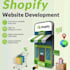 build a custom shopify store for your business