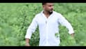 do video editing with cinematic styles, also make ads