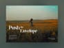 design a professional wix business portfolio website