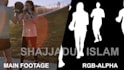 do rotoscoping and green screen remove any shots perfectly