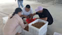 be your alibaba and china sourcing agent