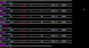 create your java command line interface program