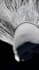 do realistic 3d shoe animation, 3d shoe design 3d footwear, 3d sneaker animation