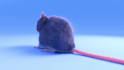 create a realistic 3d character with fur and rig