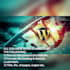 build ecommerce website professionally online store