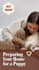 write SEO blog and articles about dogs, cats and all pets