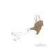 draw a cartoonish illustration cozy style