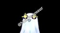 make you a twitch emote
