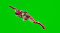 do 3d character animation and modeling or rigging