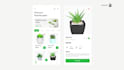 design your mobile app UX UI