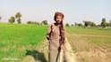 deliver your message as funny farmer