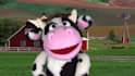 have moorice the cow create a custom puppet video