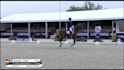 compose your dressage kür music