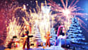 customize funny christmas and new year greetings video