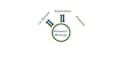 analyze, document, and present your research