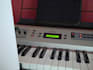name the chords for your song