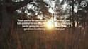 record calm, relaxing, sleep meditation in 24 hr delivery
