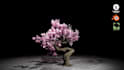 create custom tree 3d model with wind effect