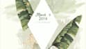 create wedding invitation video animated