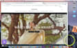 professional wordpress web development